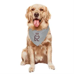 Chicago Bears Eric Kush Silver Pet Bandana for Dog & Cat