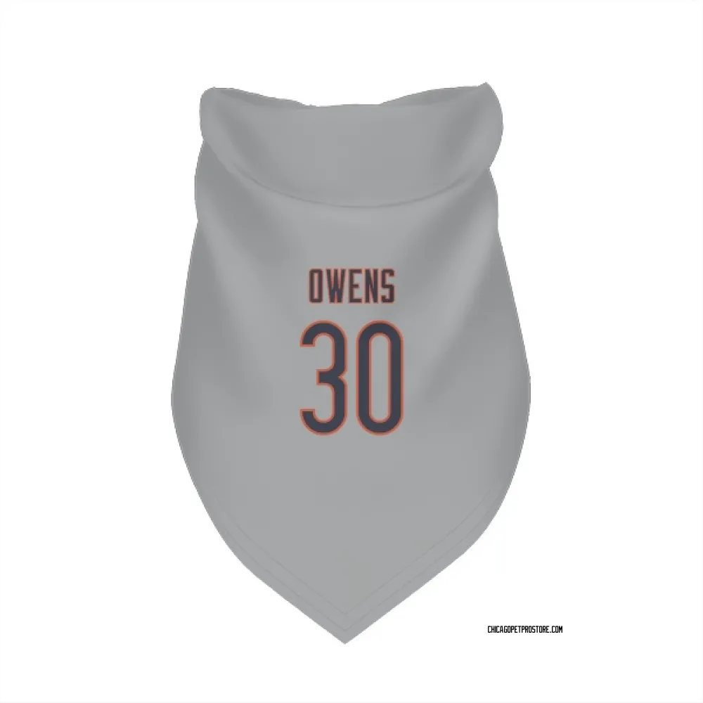 Chicago Bears Gervarrius Owens Silver Pet Bandana for Dog & Cat