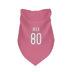 Chicago Bears Joe Reed Pink Pet Bandana for Dog & Cat