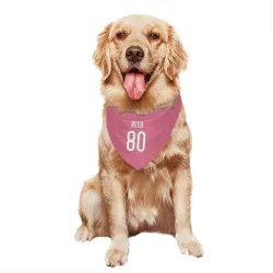 Chicago Bears Joe Reed Pink Pet Bandana for Dog & Cat