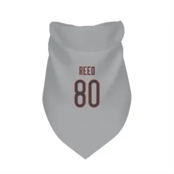 Chicago Bears Joe Reed Silver Pet Bandana for Dog & Cat