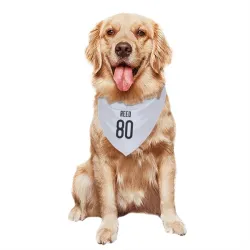 Chicago Bears Joe Reed White Pet Bandana for Dog & Cat