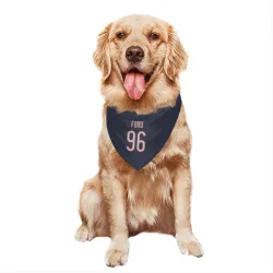 Chicago Bears Jonathan Ford Navy Pet Bandana for Dog & Cat