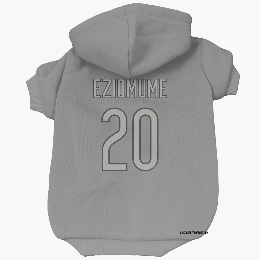 Chicago Bears KC Eziomume Charcoal Pet Hoodie for Dog & Cat