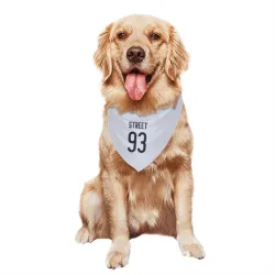 Chicago Bears Kentavius Street White Pet Bandana for Dog & Cat