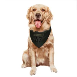 Chicago Bears Micah Baskerville Black Service Pet Bandana for Dog & Cat