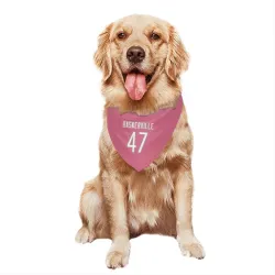 Chicago Bears Micah Baskerville Pink Pet Bandana for Dog & Cat