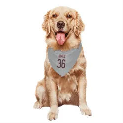 Chicago Bears Salvon Ahmed Silver Pet Bandana for Dog & Cat